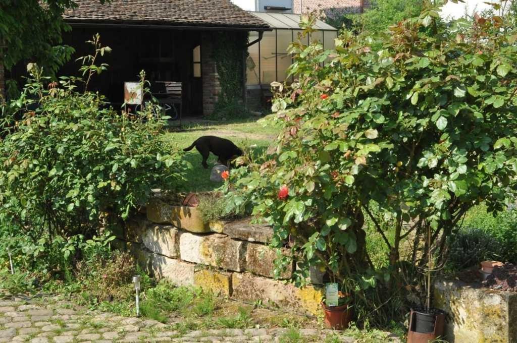 Gaestezimmer - Fuhrhalterei Maul Breuberg Extérieur photo