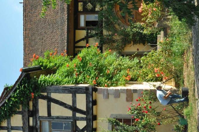 Gaestezimmer - Fuhrhalterei Maul Breuberg Extérieur photo